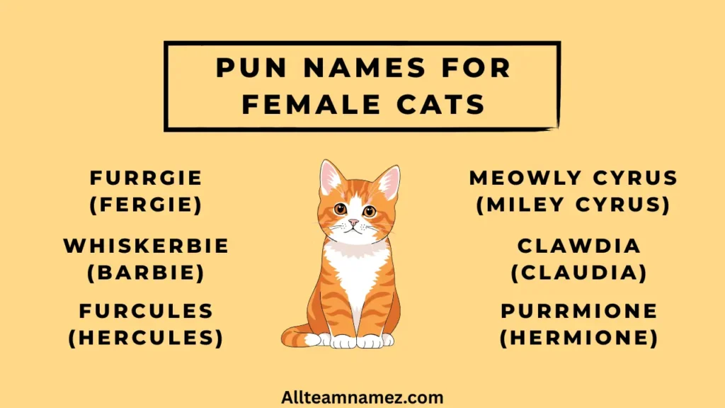 Pun Names for Female Cats