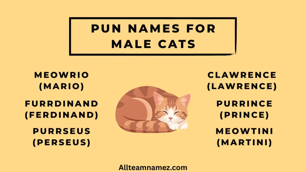 Pun Names for Male Cats