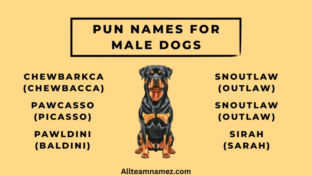 Pun Names for Male Dogs