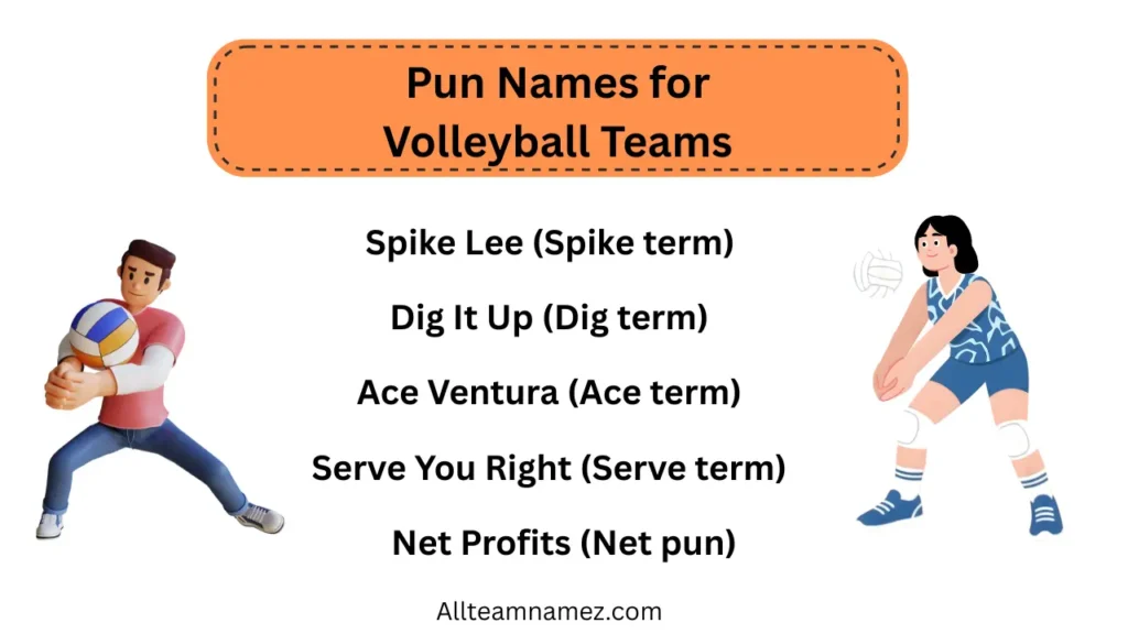 Pun Names for Volleyball Teams