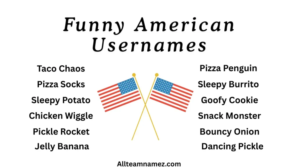Funny American Usernames