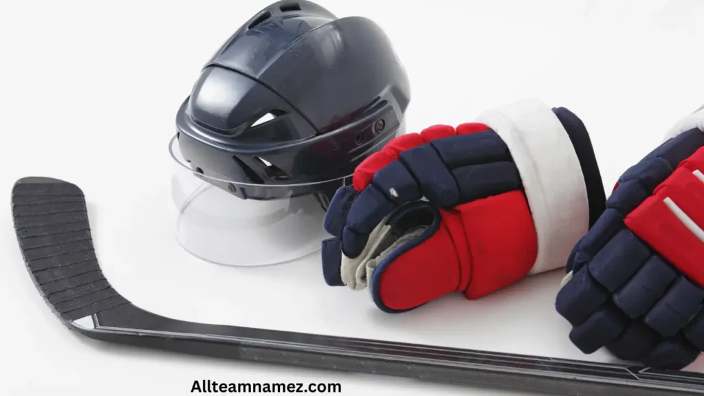 Hockey Team Names ideas by Country and State