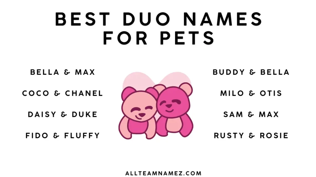 Best Duo Names for Pets
