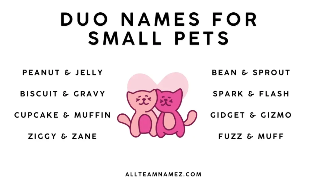 Duo Names for Small Pets