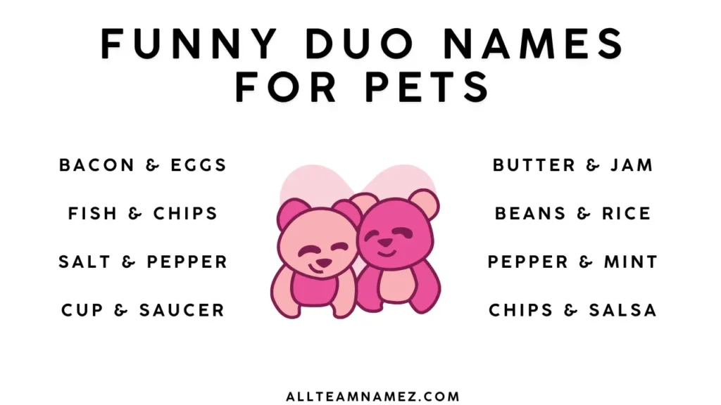 Funny Duo Names for Pets